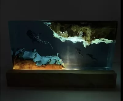 Living Aquarium Dual Sided Driver & Shark Night Light/Moving Ocean Lamp • $39