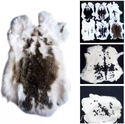 1pcs Natural Spotted Tanned Rabbit Fur Hide (12 By 14 Rabbit Pelt With Sewing Qu • $18.63