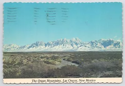 Las Cruces New Mexico~Panorama Organ Mountains~Continental Postcard • $2.70