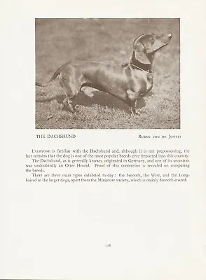 Dachshund Old Vintage 1934 Named Dog Print Page  • $6.20