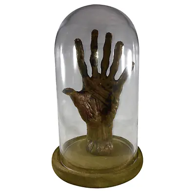 Bizarre! 6 Finger Mummified Mummy Hand Gaff Curriosity Medical Specimen Oddity • $49