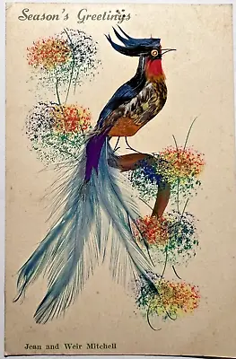 Vintage BIRD PAINTING WITH REAL FEATHERS Handmade Postcard Mexico C7 • $8.95