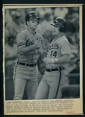 Mickey Tettleton & Cal Ripken Jr. 1989 Press Photo Baltimore Orioles • $9.99