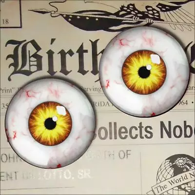 Glass Monster Eyes Realistic Taxidermy Doll Eyeball 12mm Set • $7.99