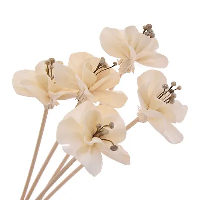 $5.05 • Buy 5X Artificial Flower Rattan Sticks Reed Diffuser Aroma Fragrance Replacement DIY