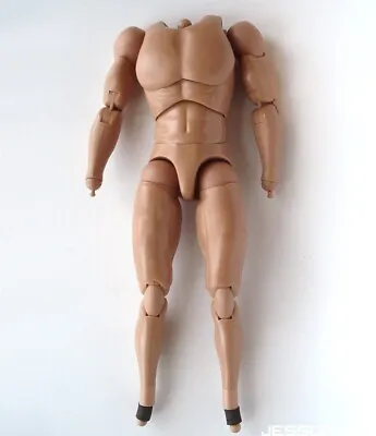 1/6 Muscle Body Steve Rogers Captain America Hot Toys Avengers 12  Figure Movie • $55