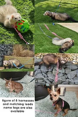 Figure Of 8 Harness And Lead  For Small Animal Ferret Rabbit Rat • £10