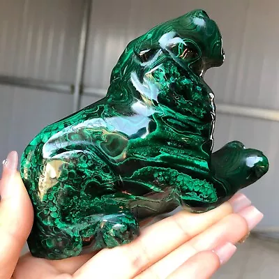 598g Natural Green Bright Malachite Fibre Crystal Hand Carved Specimen F987 • $0.99