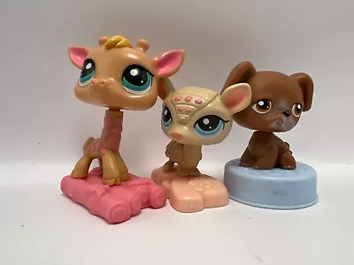LPS Boxer Giraffe Armadillo McDonald's Toy Lot Of 3 Littlest Pet Shop • $9.99