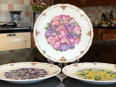 ROYAL ALBERT COLLECTORS PLATES : X3 ‘THE QUEEN MOTHER’S FAVOURITE FLOWERS’ • £20