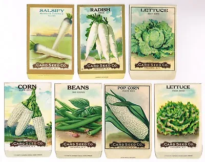 7 Vintage Seed Packet Lot Nos C1908 Vegetable Garden General Store Fredonia Ny • £18.96