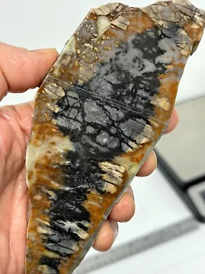 Picasso Marble (Jasper) Slab Cabbing Lapidary Utah Combo Ship Avail • $17