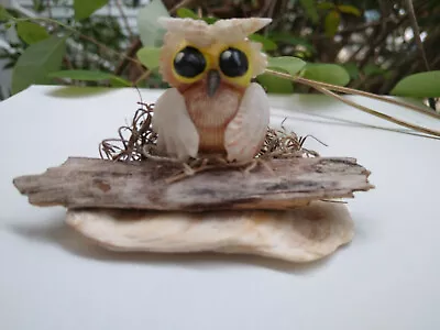 Sea Shell Owl Figurine Nestled In Spanish Moss Perched On Driftwood On Shell • $14