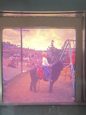 Vintage 1960s Horse Park Swing Ektachrome Color Photo 35mm Slide OOAK (2) • $4.39