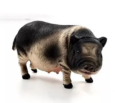 Vietnamese Pot-bellied Pig Animal Toy PVC Action Figure Doll Kids Toys Gifts • $12.59