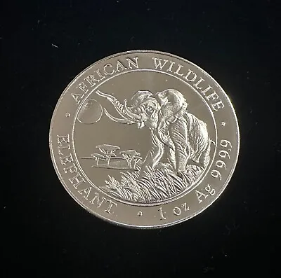 2016 Somali Republic 100 Shillings 1 Oz Silver Coin- African Wildlife Elephant • $39.95