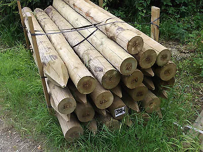 £35.36 • Buy 2.4m X 150/175mm UC4 Peeled Point Pressure Treated Farm Fencing Strainer Posts 
