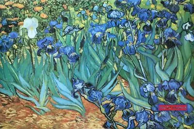 Garden Of Irises By Vincent Van Gogh Art Poster 24 X 36 • $17.27