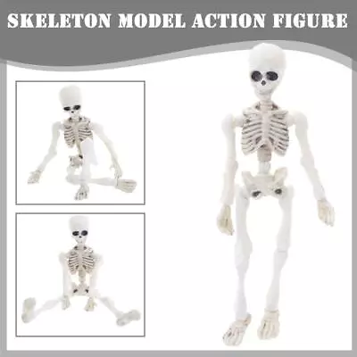 Movable-Man Skeleton Human Model Skull Full Body Mini Figure Toy Halloween • $4.03