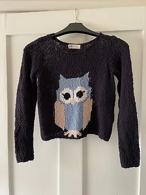 £0.99 • Buy H&M Blue Jumper With An Owl On The Front, Age 9-10y