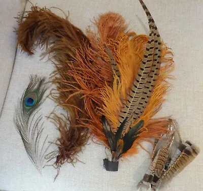 Lot Antique Edwardian Hat Millinery Feathers Large Plumes 1900s Taxidermy Bird • $89.99