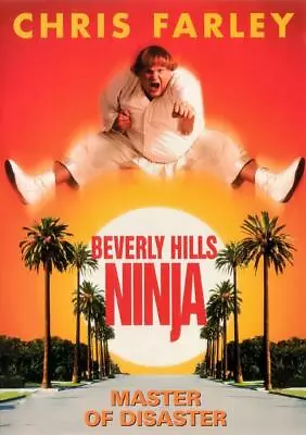 Beverly Hills Ninja Movie Poster Photo Print 8x10 11x17 16x20 22x28 24x36 27x40 • $9.99