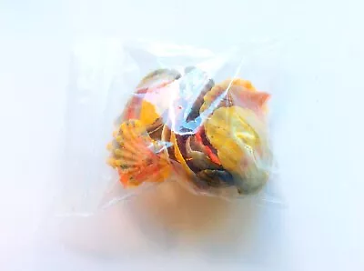 Bag Of Pecten Langfordi Fragments Sunrise Shells Great For Jewelry And Crafts! • $24.99