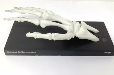 Vintage Anatomical Hand Bone Model Butazolidin Geigy Medical Doctor Halloween • $19.99