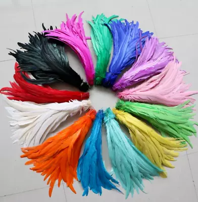 10pcs 25-30cm Rooster Coque Tail Feathers 20 Colours DIY Craft Millinery Costume • $9.95
