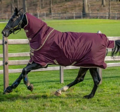 £84.95 • Buy Horseware Amigo Hero Ripstop Plus Turnout Lite Og Horse Rug