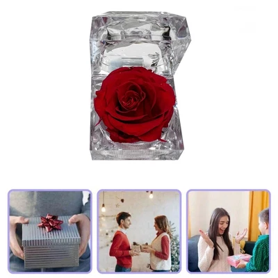 Eternal Real Flower Preserved Rose Valentine's Anniversary Mothers Day Gift Box • $11.22