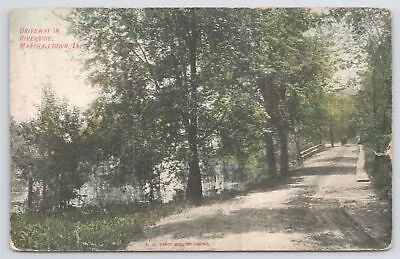 Folks Walk Along Tree Lined Driveway In Riverside~Marshalltown Iowa~PM 1913 PC • $3