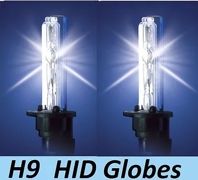 1 Pr H9 HID Globes Bulbs 35W 55W 70W 12v 24v 4300K Or 6000K Or 8000K Or 10000K  • $30.50