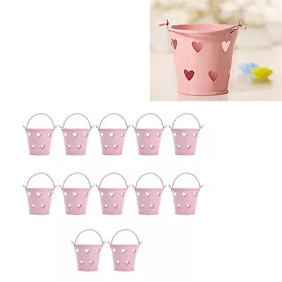 12pcs Mini Metal Bucket With Handle For Candies  • $22.99