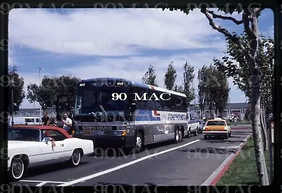 GREYHOUND. MCI COACH #1647. SFO (CA). Original Slide 1986. • $6.99