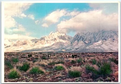 Postcard - Organ Mountains - Southern New Mexico • $5.79