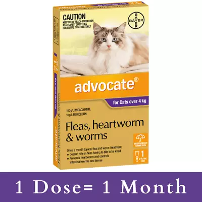 Advocate For Cats Over 4kg (Purple) - Fleas Heartworm & Worms • $48