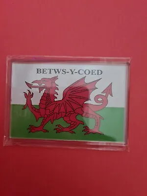 £3.60 • Buy Souvenir Betws-y-coed Village In Wales Large Fridge Magnet