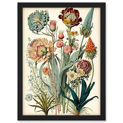 Haeckel Inspired Vintage Botanical Plant Study Framed Wall Art Picture Print A3 • $33.56