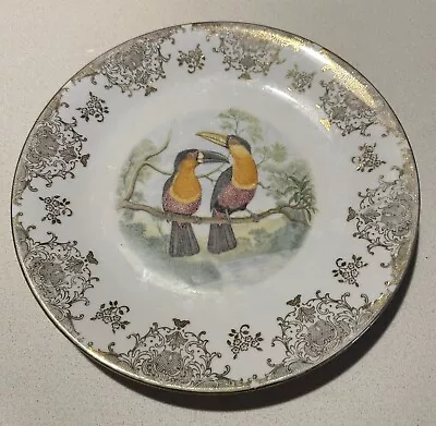 Bareuther Bavaria Germany Decorative Wall Plate Toucan On Branch Image • $30