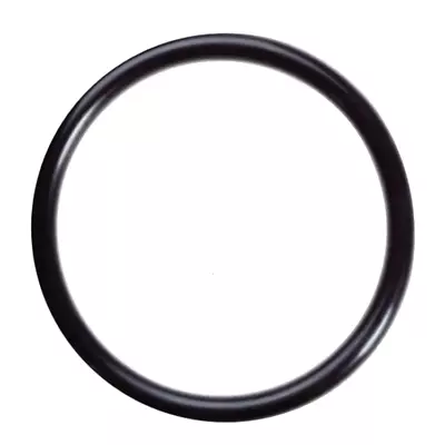 Fuel Pump Tank Sender O-Ring Seal For Nissan Infiniti 17342-01A00 • $12.95