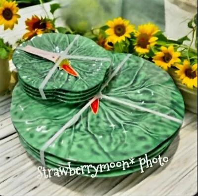 8pc Set Gardeners Eden Spring Easter Green Cabbage Leaf Dinner & Dessert Plates • $55