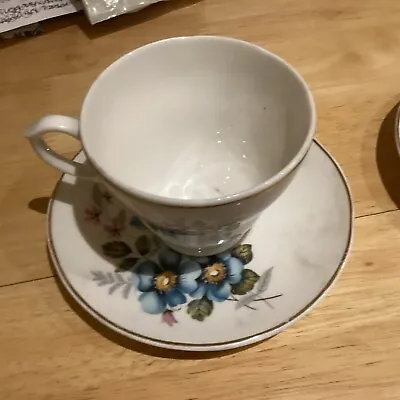 Mayfair Fine Bone China Cup And Saucer • £2