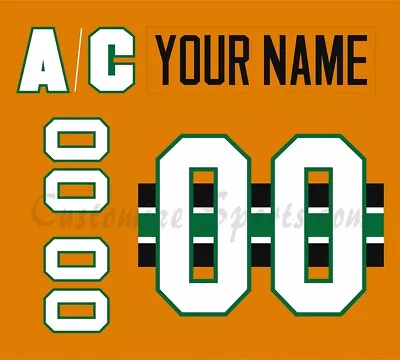 Quad City Mallards Customized Number Kit For 2016-2017 Orange Uniform • $39.99