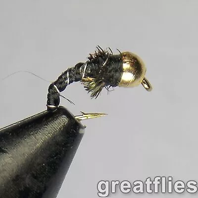 1 Dozen (12) - Zebra Midge - Gold (brass) Bead Head • $7.58