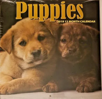 2019 Wall Calendar - Puppies -12 Month-12x24 Inches Brand New W • $1.99