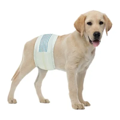 BV Male Dog Wraps 50 Counts Dog Diapers For Male Dogs Disposable Puppy Wraps M • $24.99