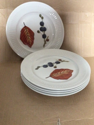 £12.50 • Buy A Set Of 5 Royal Worcester Porcelain 8  Wild Harvest Starter Plates
