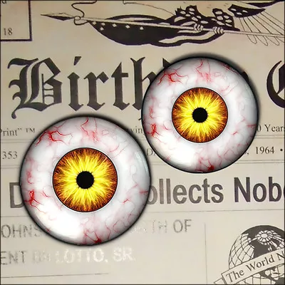 1  Inch Eyes Monster Creature Glass Eyeball Set Taxidermy Halloween Fantasy 25mm • $11.99