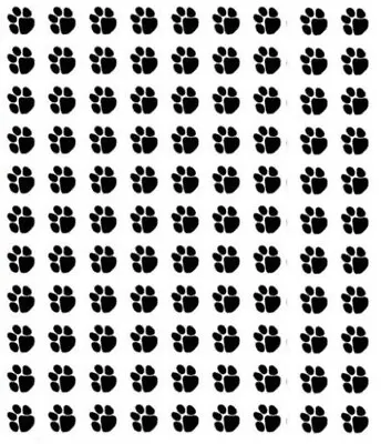 80 X Paw Print Dog Cat Decal Vinyl Stickers 1cm X 1cm Car Wall Glass Craft Art • £2.99